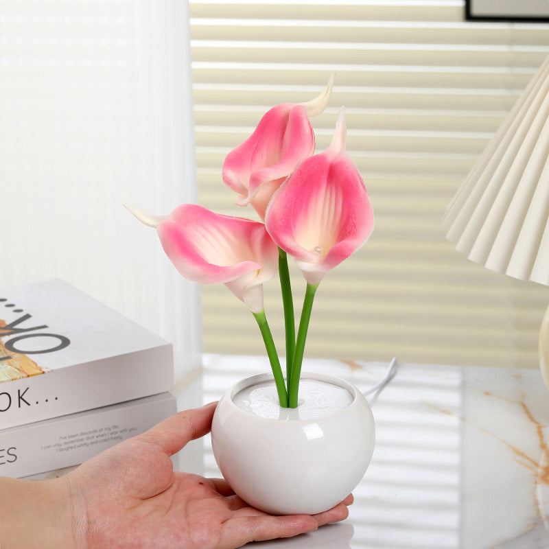 🌷Eternalbloom Rose Light