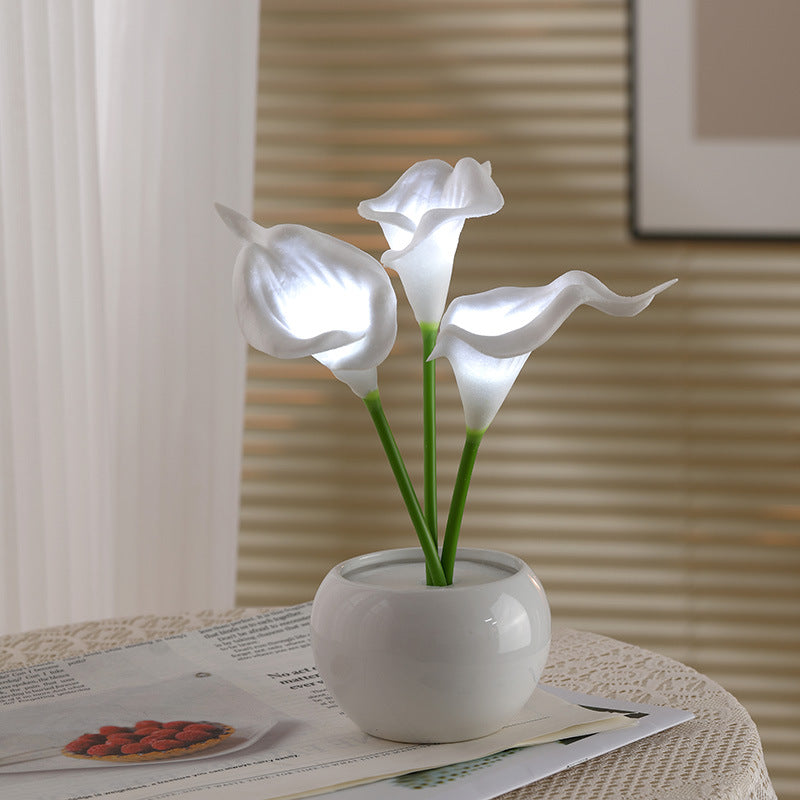 🌷Eternalbloom Rose Light