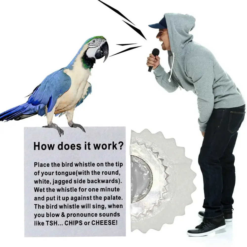 💥 BirdWhistle 1+1 FREE – Mini Magic Birdcall Whistle Chip