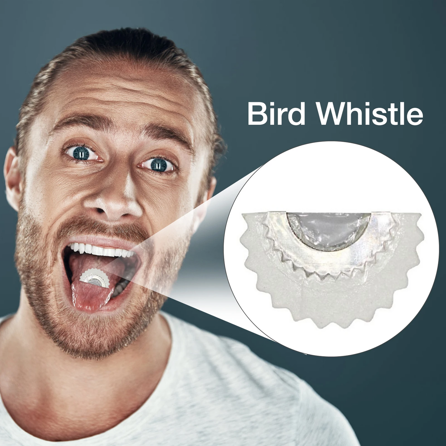 💥 BirdWhistle 1+1 FREE – Mini Magic Birdcall Whistle Chip